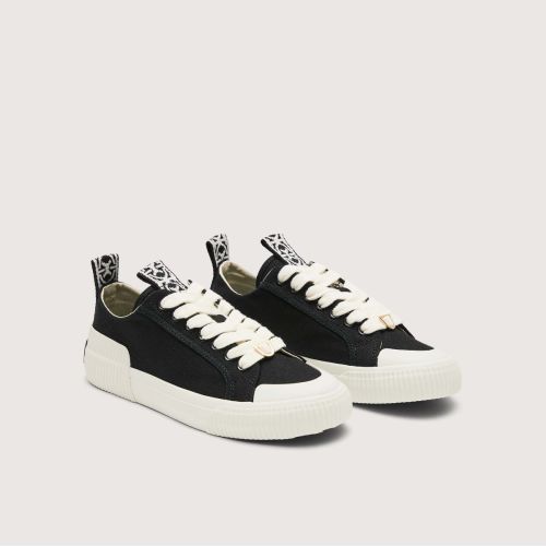 C-Bounce Canvas