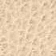 Metallic Soft