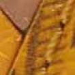 Coccinelle Patch Coated monogram