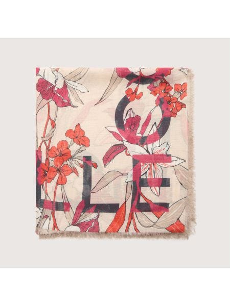 Coccinelle Jardin De Flores