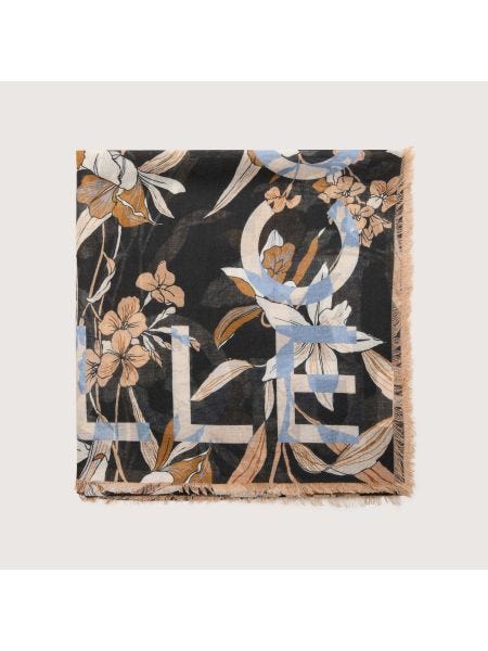Coccinelle Jardin De Flores