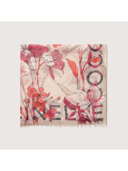 Coccinelle Jardin De Flores