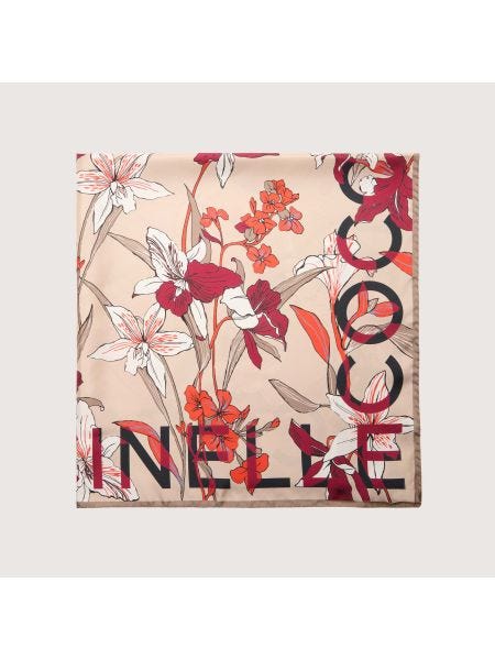 Coccinelle Jardin De Flores